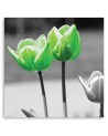 Canvas painting for living room - Green tulips in grey | FEEBY