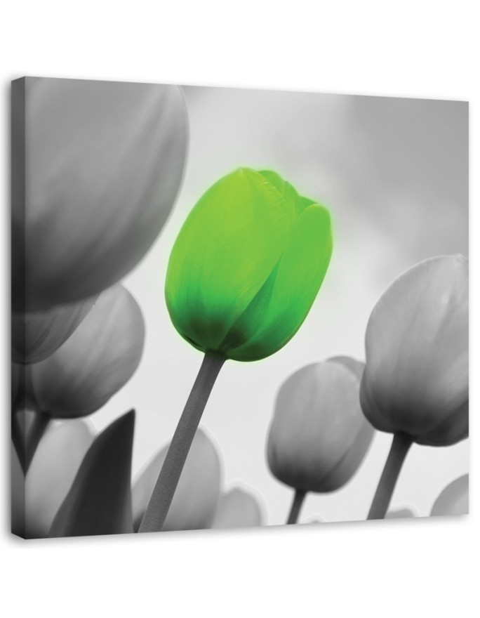 Canvas print Green tulip