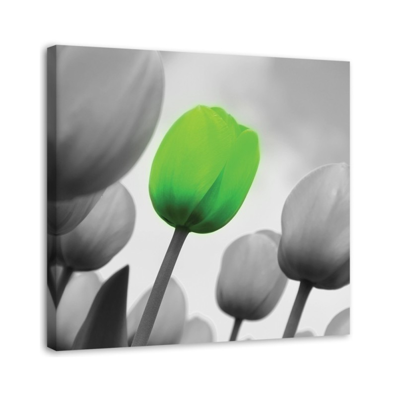 Canvas print - Green tulips | FEEBY