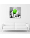 Canvas print - Green tulips | FEEBY