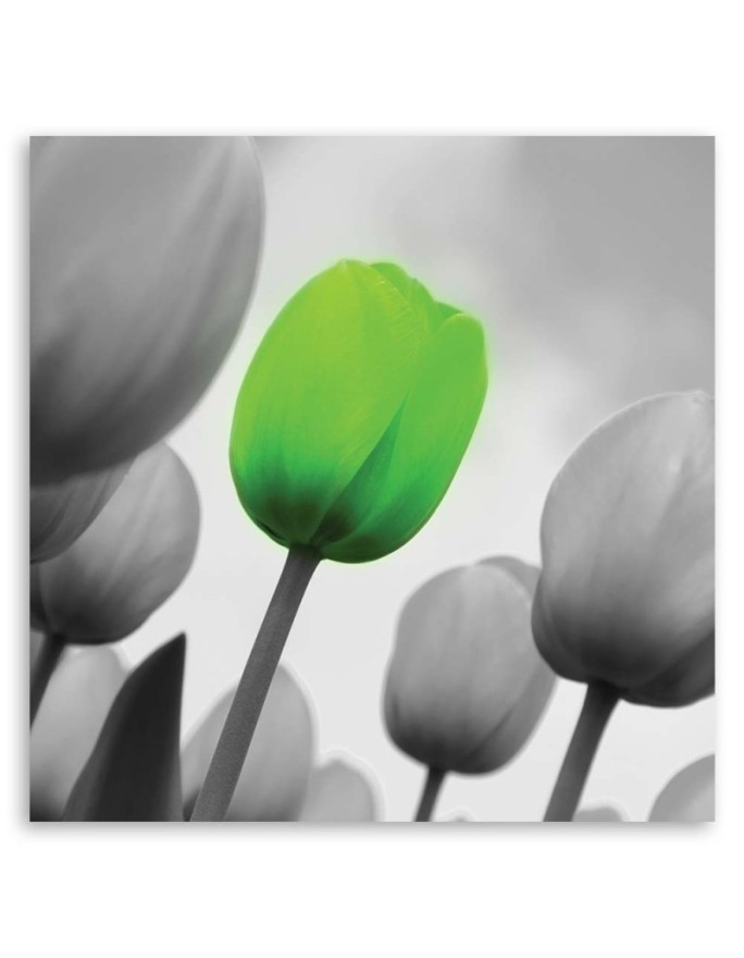 Canvas print - Green tulips | FEEBY