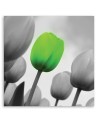 Canvas print - Green tulips | FEEBY