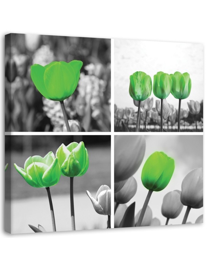 Canvas print - Set of green tulips | FEEBY