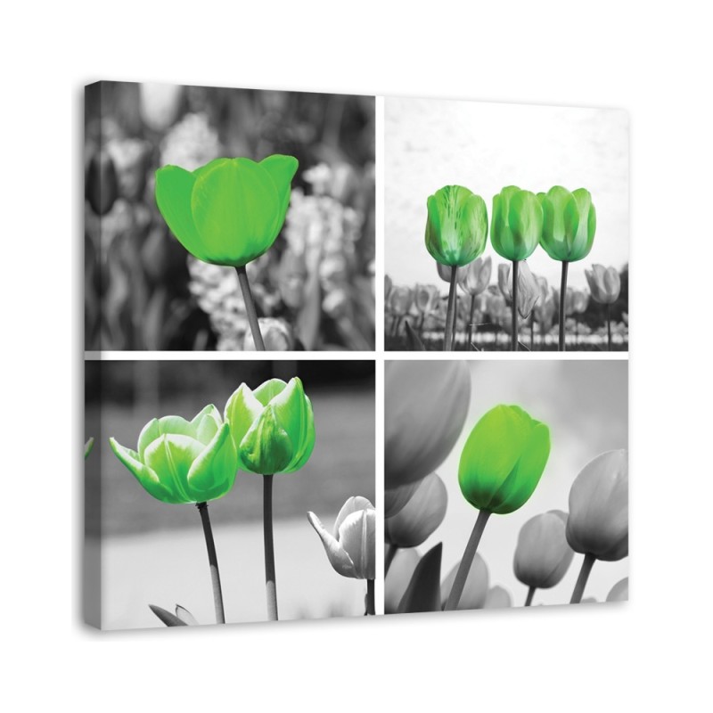 Canvas print - Set of green tulips | FEEBY