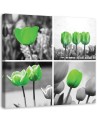 Canvas print - Set of green tulips | FEEBY