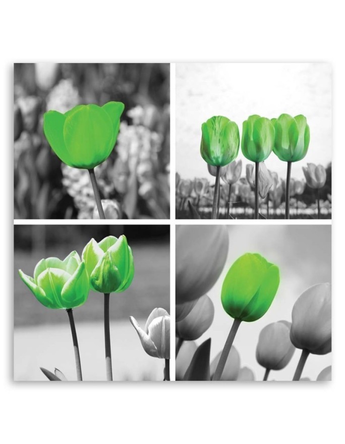 Canvas print - Set of green tulips | FEEBY