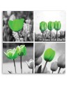 Canvas print - Set of green tulips | FEEBY