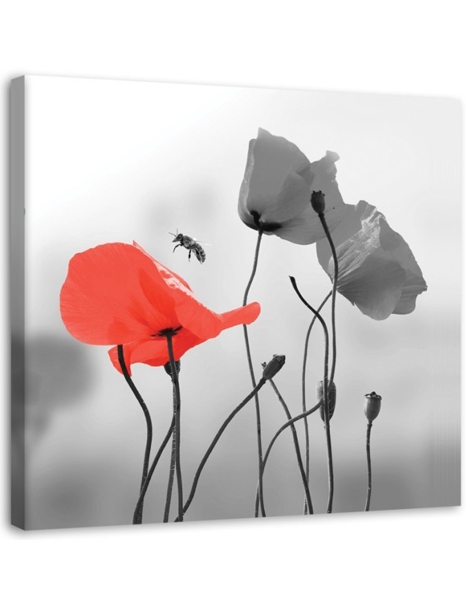 Modern Canvas painting for living room - Red poppies | FEEBY