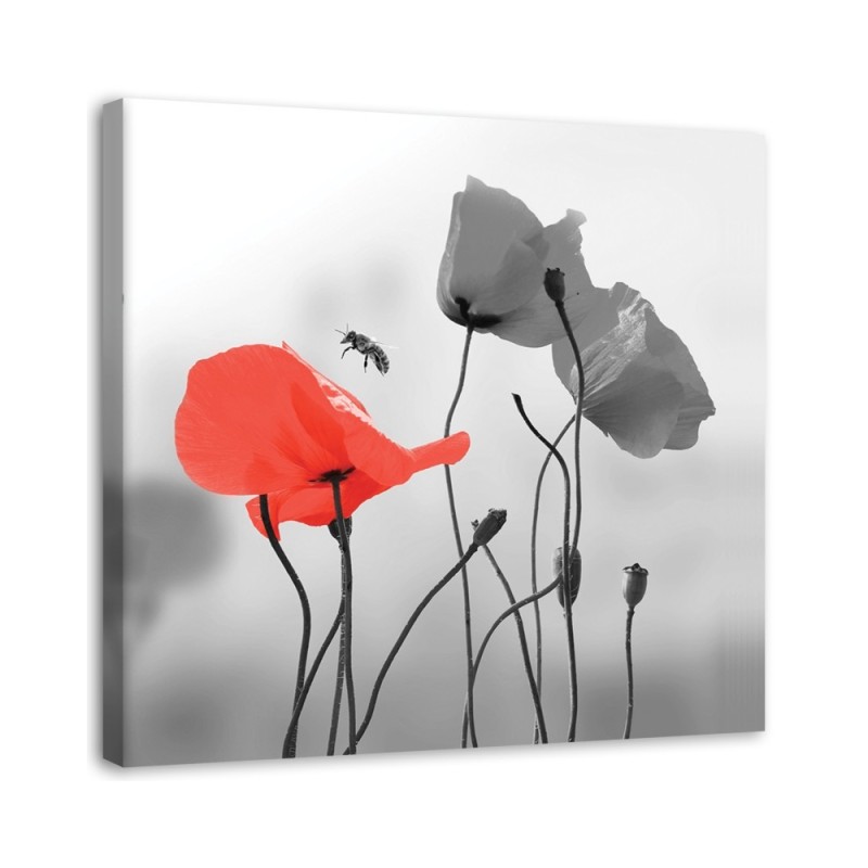 Modern Canvas painting for living room - Red poppies | FEEBY