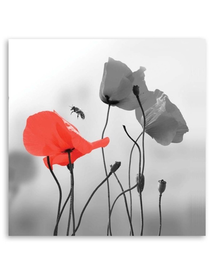 Modern Canvas painting for living room - Red poppies | FEEBY