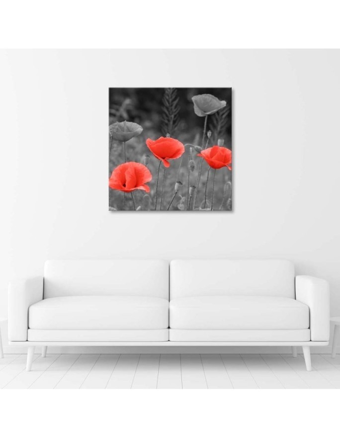 Canvas prints for living room - Field poppies | FEEBY