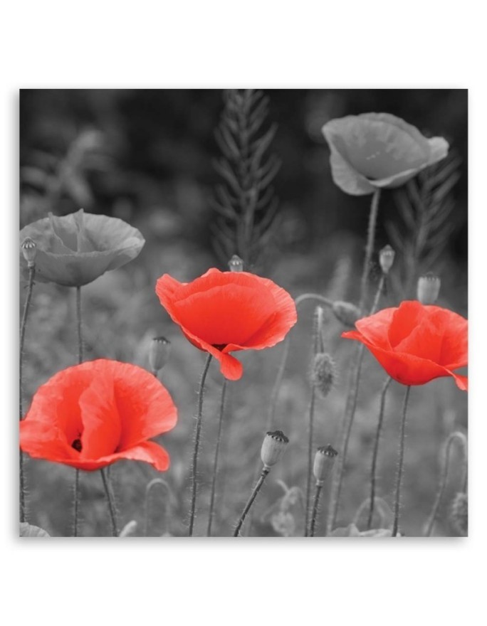Canvas prints for living room - Field poppies | FEEBY