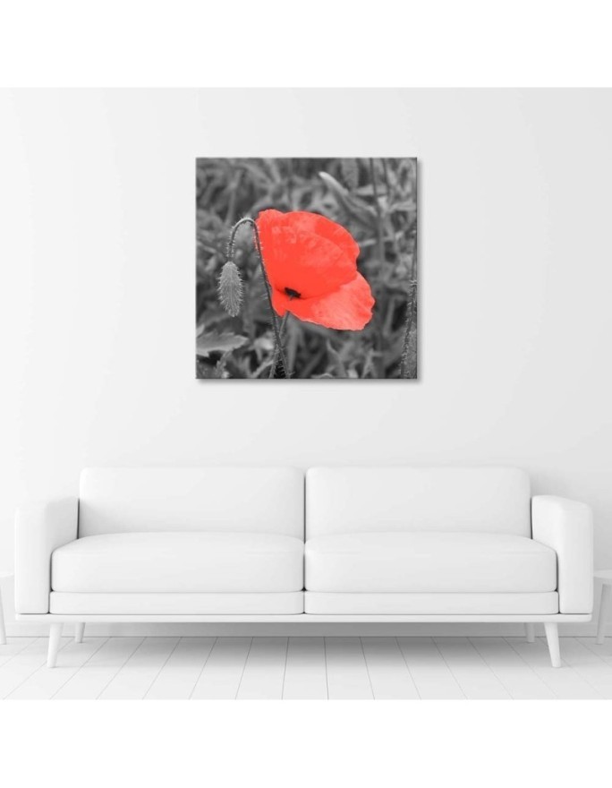 Canvas prints for living room - Red poppy flowers nature | FEEBY