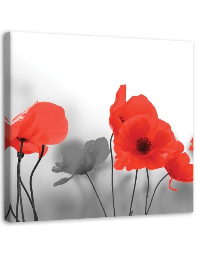 Canvas painting - Red poppies in grey | FEEBY
