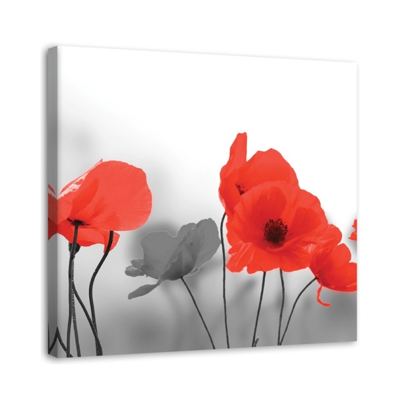 Canvas painting - Red poppies in grey | FEEBY