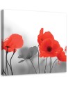 Canvas painting - Red poppies in grey | FEEBY