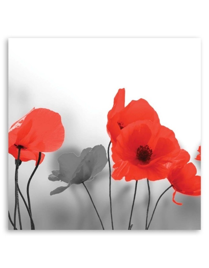 Canvas painting - Red poppies in grey | FEEBY