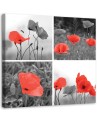 Modern painting for bedroom - Set of red poppies | FEEBY