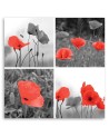 Modern painting for bedroom - Set of red poppies | FEEBY