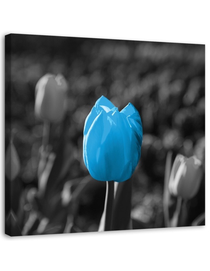 Canvas painting for living room - Blue tulip in grey | FEEBY