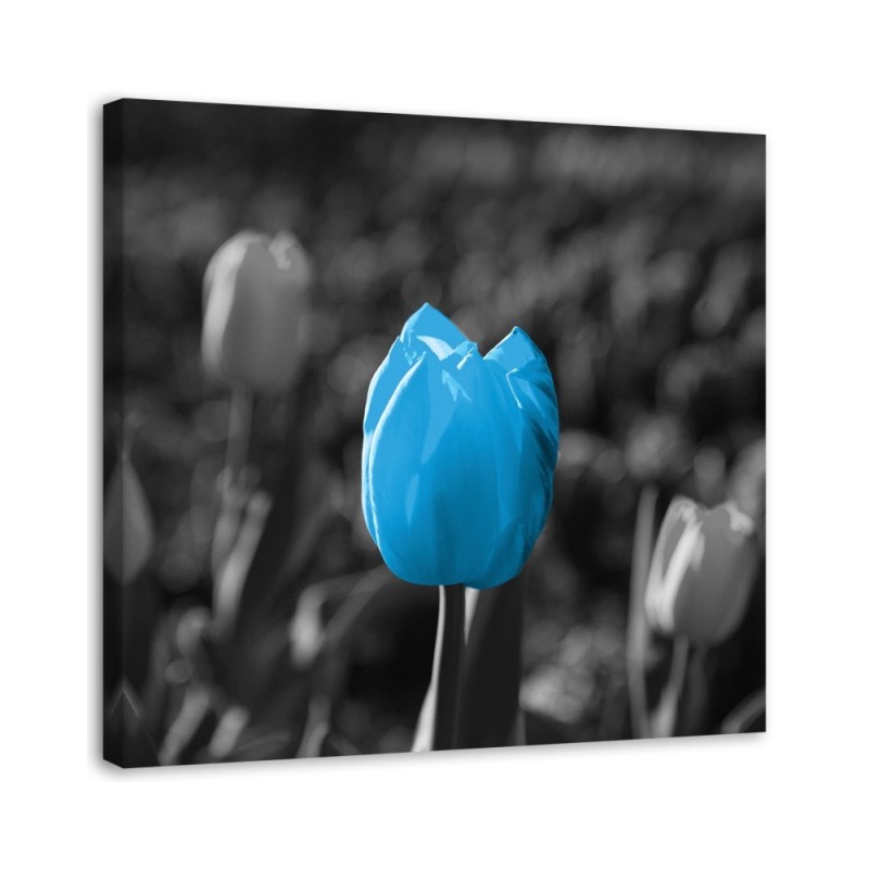 Canvas painting for living room - Blue tulip in grey | FEEBY