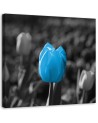 Canvas painting for living room - Blue tulip in grey | FEEBY