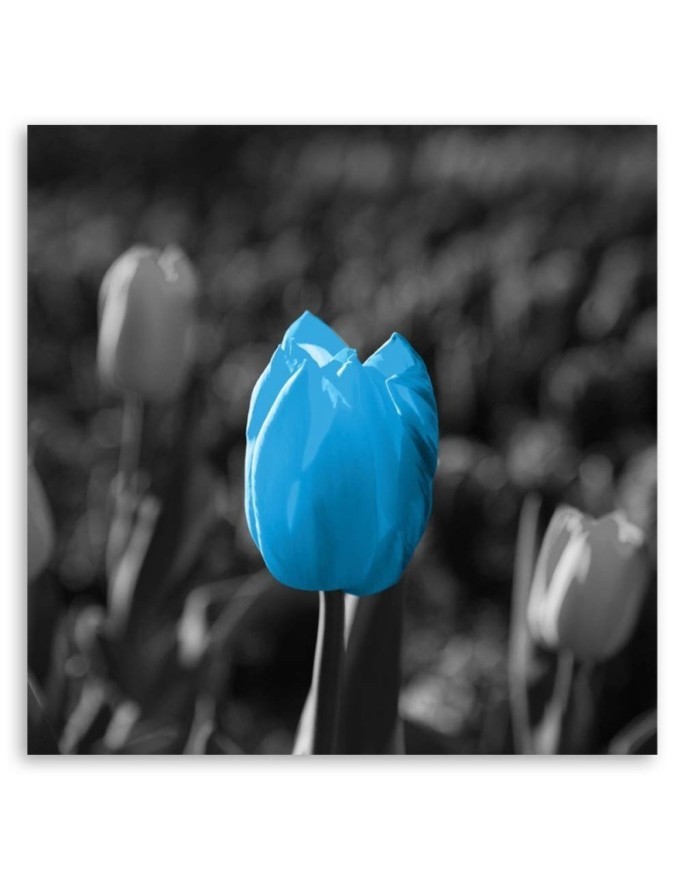 Canvas painting for living room - Blue tulip in grey | FEEBY