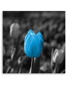 Canvas painting for living room - Blue tulip in grey | FEEBY