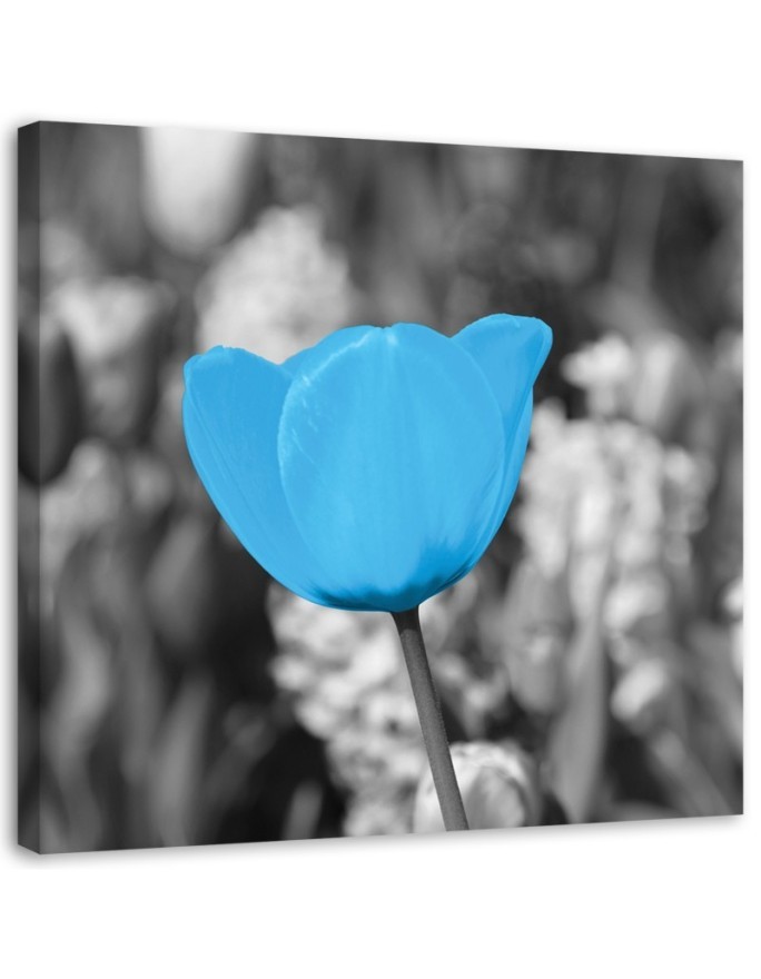 Canvas print modern - Blue tulip | FEEBY