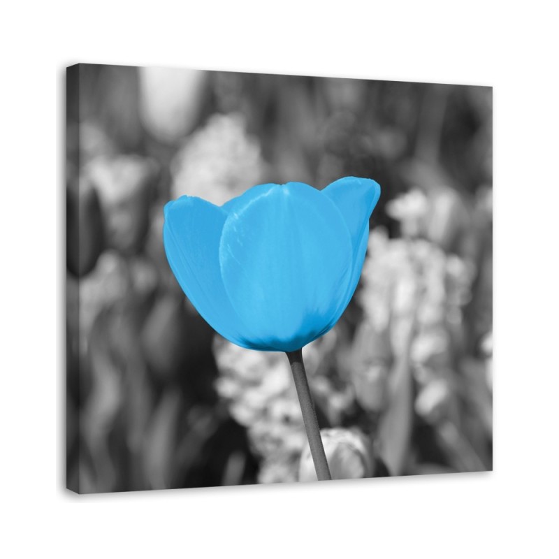 Canvas print modern - Blue tulip | FEEBY