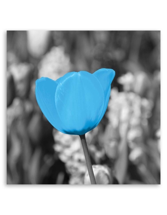 Canvas print modern - Blue tulip | FEEBY