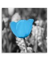 Canvas print modern - Blue tulip | FEEBY