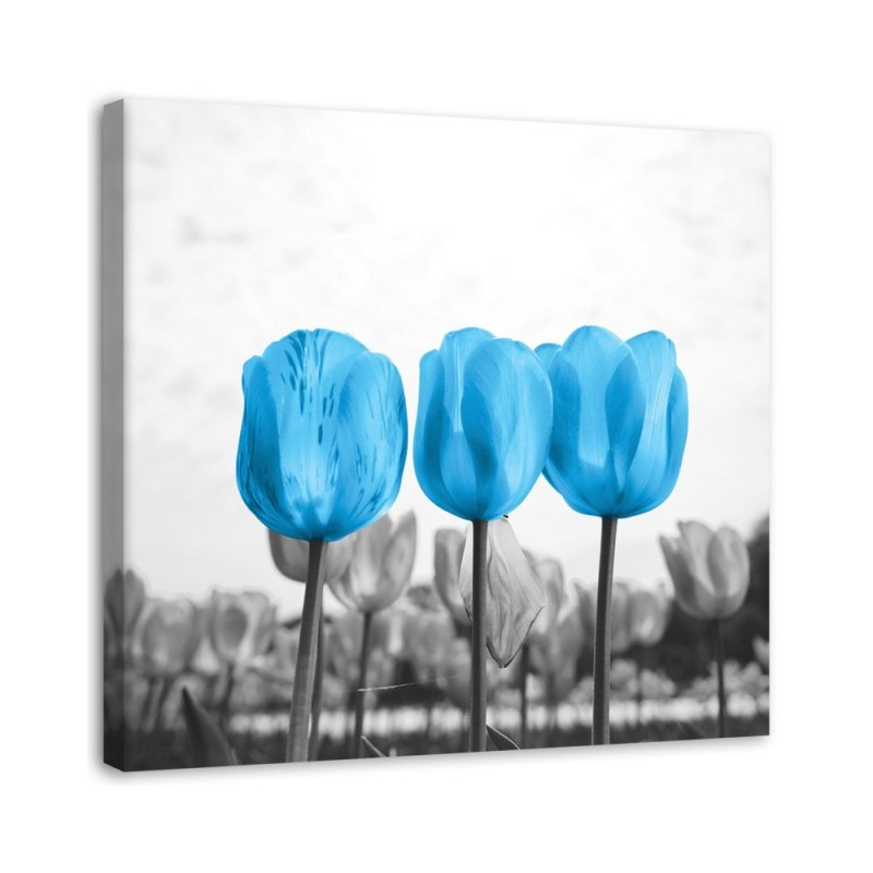 Canvas print - Blue tulips | FEEBY