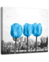 Canvas print - Blue tulips | FEEBY