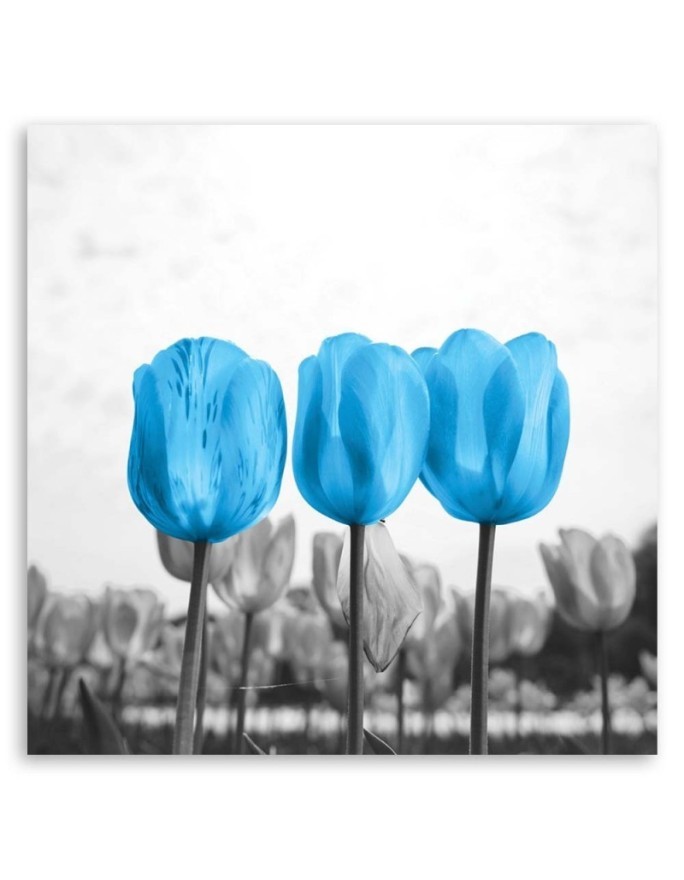 Canvas print - Blue tulips | FEEBY