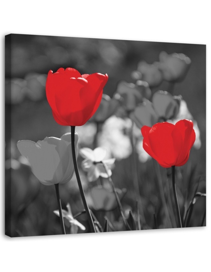 Modern Canvas painting for living room - Red tulips in grey | FEEBY