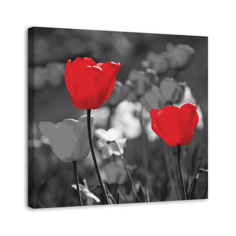 Modern Canvas painting for living room - Red tulips in grey | FEEBY