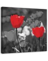 Modern Canvas painting for living room - Red tulips in grey | FEEBY