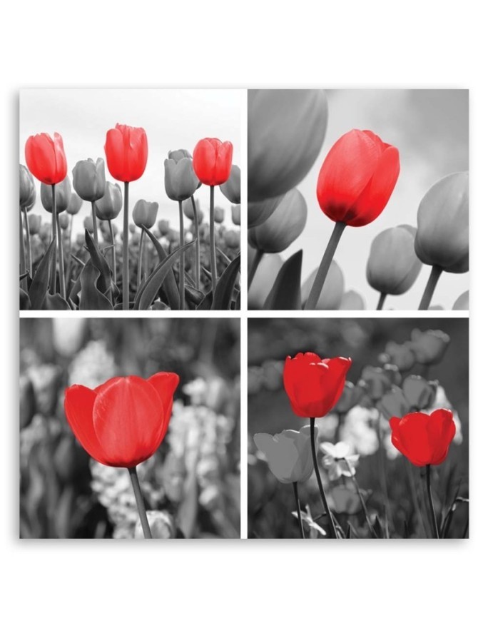Canvas prints for living room - Set of red tulips | FEEBY