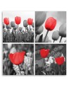 Canvas prints for living room - Set of red tulips | FEEBY