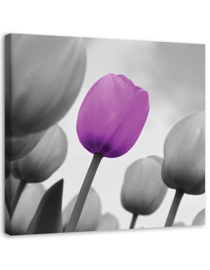 Purple tulip in grey - Canvas prints for living room | FEEBY