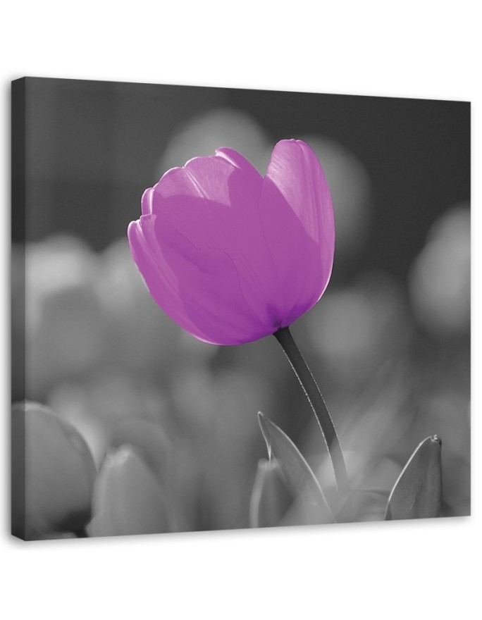 Purple tulip - Canvas painting | FEEBY