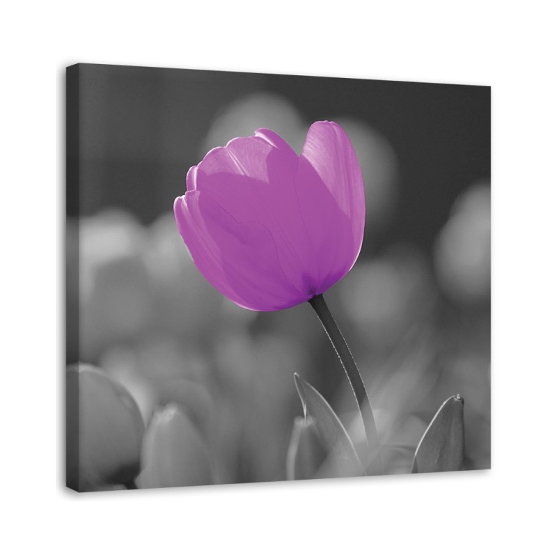 Purple tulip - Canvas painting | FEEBY