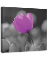 Purple tulip - Canvas painting | FEEBY