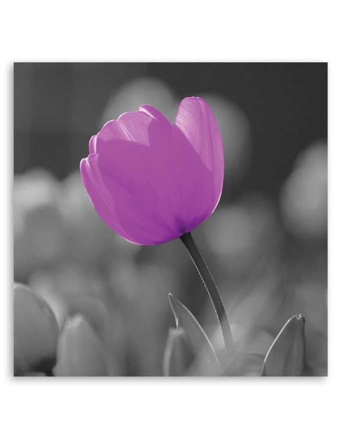 Purple tulip - Canvas painting | FEEBY