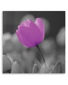 Purple tulip - Canvas painting | FEEBY
