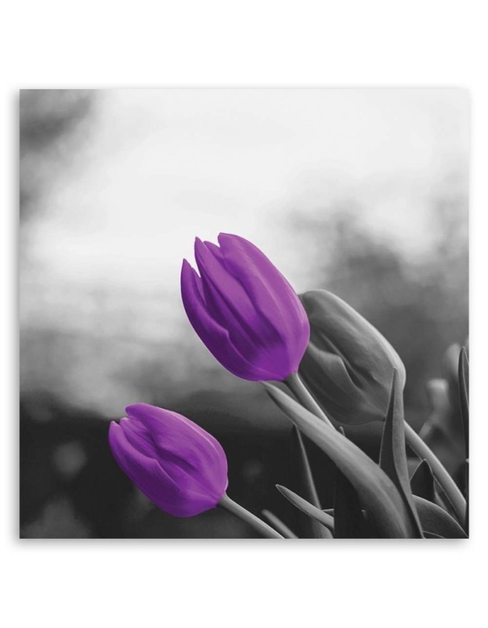 Two purple tulips - Modern Canvas painting for the bedroom | FEEBY