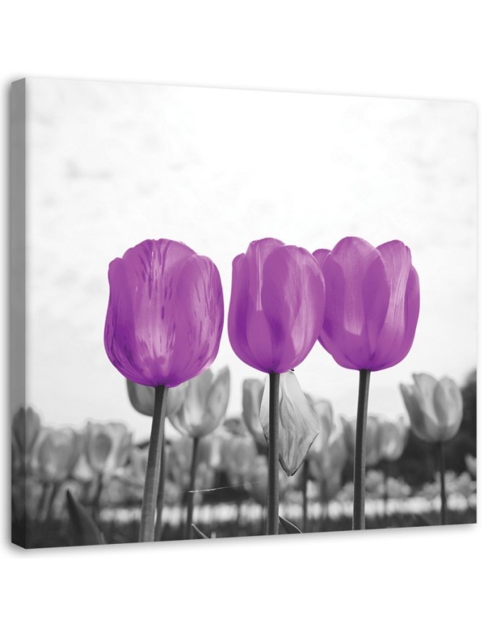 Purple tulips nature - Modern bedroom Canvas painting. High quality  | FEEBY