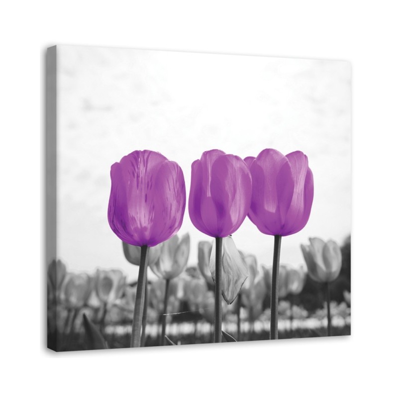 Purple tulips nature - Modern bedroom Canvas painting. High quality  | FEEBY