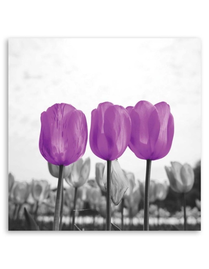 Purple tulips nature - Modern bedroom Canvas painting. High quality  | FEEBY